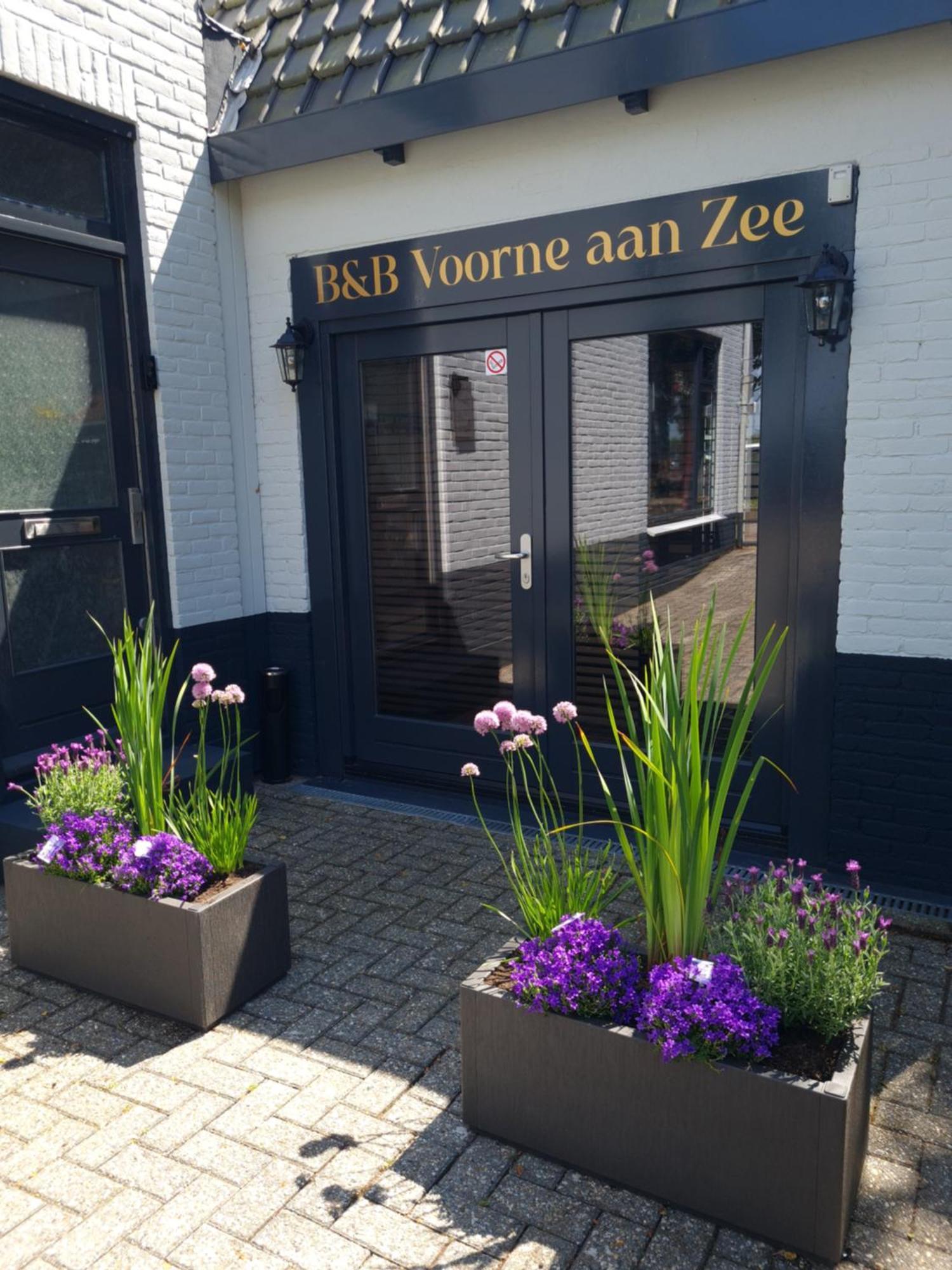 B&B Voorne Aan Zee Rockanje Exteriér fotografie